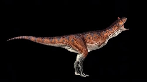 Dinosaurier laufen und brüllen