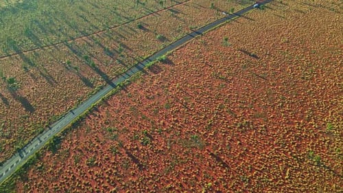 Aerial view of a road in Ayers Rock, Australia.