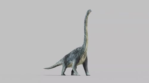 Brachiosaurus walking loop