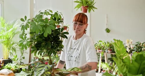Woman tending to plants in indoor garden