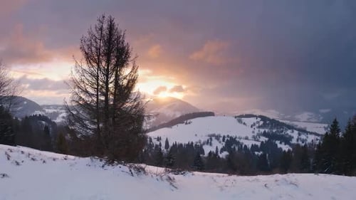 Sunrise in Winter Nature