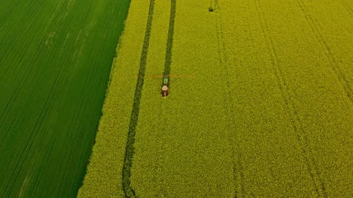 Agricultural sprayer applying herbicides, pesticides, and fertilizers to rapeseed crops field in spr