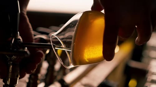 Vertical Video Closeup in Beer Hall at the Bar Counter the Bartender's Hands Pour Light Beer Into a