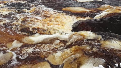 a River in a Snowy Forest Water Surface in the Snow in the Forest Peace and Quiet Reflection on the