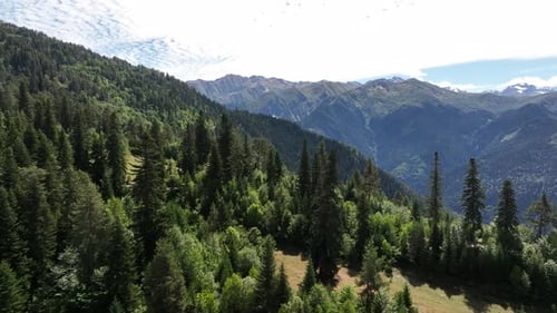 Flight over the forest and mountains in the region of Svaneti, Georgia