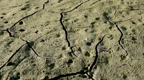 Arid land with dry cracked soil during the summer season - closeup shot