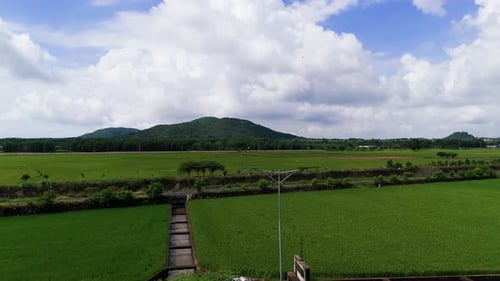 Aerial View of a Rice Field and a Mountain in the Background.