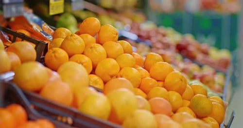 Tangerines in Supermarket Shelf Closeup View Man is Taking Fruits in Food Market Prores