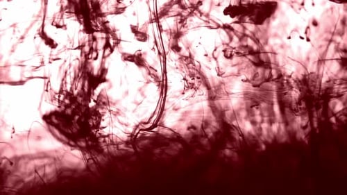 Rote Farbtinte fließt, wirbelt und plätschert im Wasser abstrakte kreative Aufnahmen Zeitlupenvideo auf