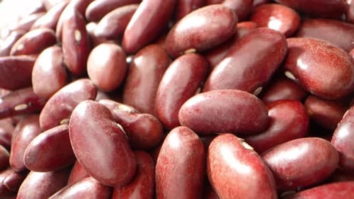 Close Up of Plump Kidney Beans, Zooming In