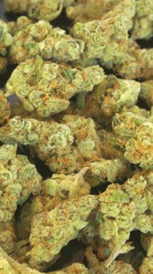 Hochwertiges Marihuana Slow Dolly Shot