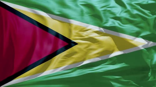 Realistic Waving Flag of Guyana Animation Loop