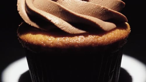 Delicious Chocolate Cupcake with Blueberries and Nuts