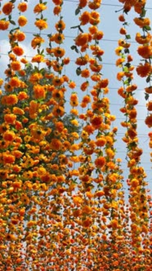 Des rideaux suspendus vibrants en forme de souci créent une décoration florale extérieure festive
