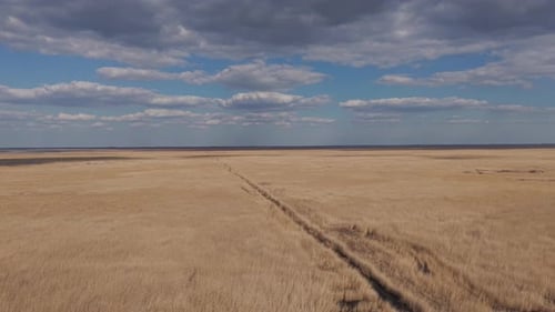 A wide aerial view of a vast grassland stretching to the horizon under a dramatic cloudy sky. A