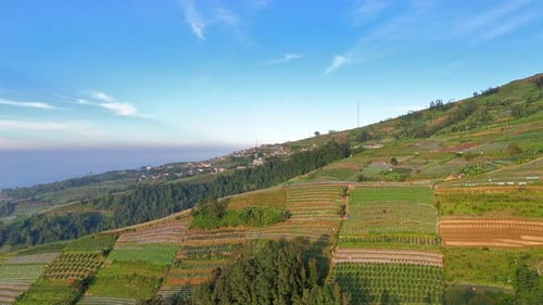 Aerial view of terraced agricultural field on a lush green mountain slope under a clear blue sky.