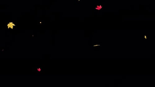 Hojas de arce que caen en una Alpha 4K transparente