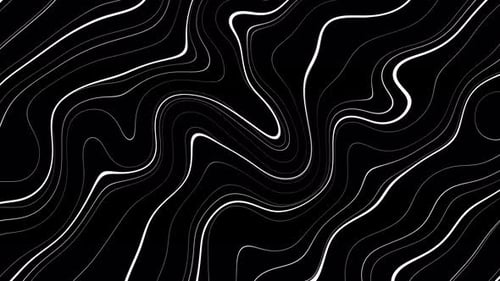 Fluid Abstract Wavy Lines Looping Motion Background