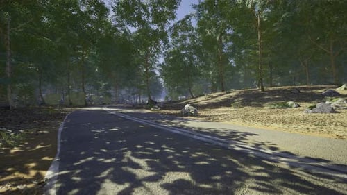 Scenic Forest Road Winding Through Sunlit Trees on a Clear Day