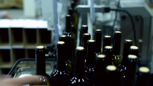 Wine Bottle Conveyor System Operates Efficiently in a Busy Factory Setting with Red and White