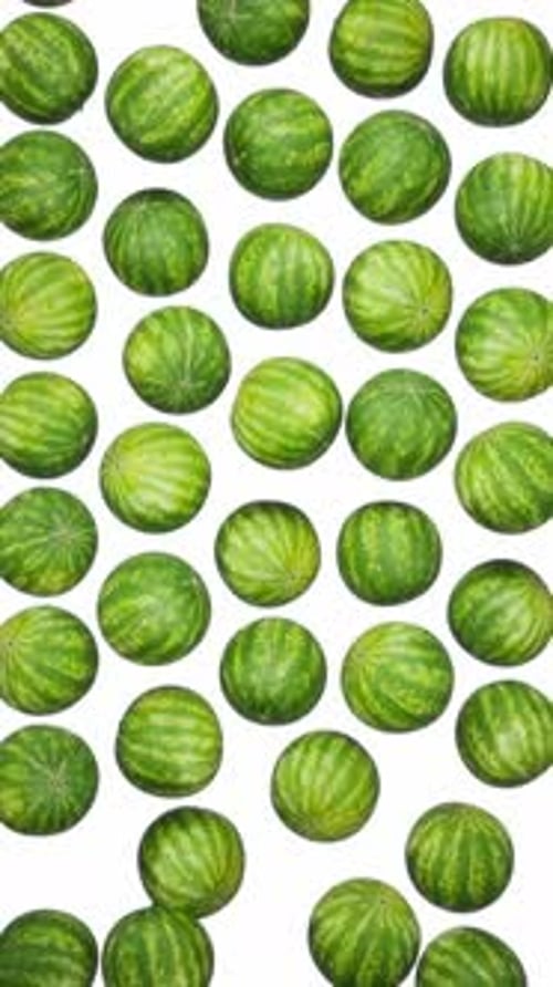 Vertikal fallende Wassermelonen auf weißem Grund