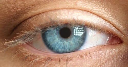 Detailed Extreme Close Up of a Blue Human Eye
