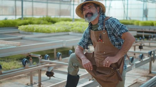 Gardener Surveying Greenhouse on Sunny Day
