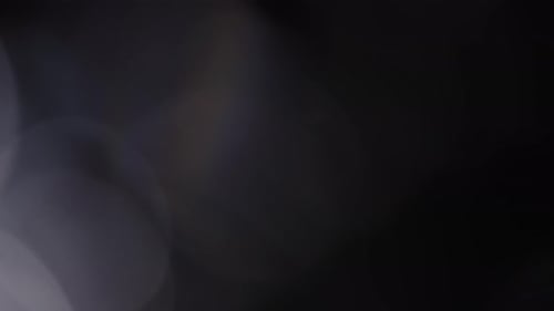 Blinking Bokeh of Defocused Foliage Particles in Black and White