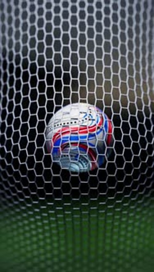 Net view of a completed goal