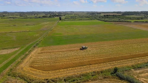 Drohne umkreist einen Landwirt, der einen Mähdrescher fährt und am Tag des blauen Himmels auf einem großen offenen Feld arbeitet