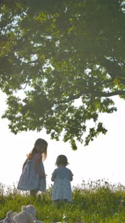 Vertical of Two Sisters Run Across Clean Green Field to Their Mother Swinging on Swing Tied to an