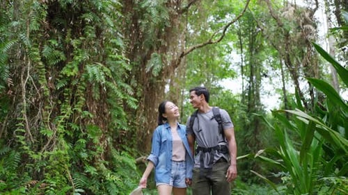 4K Young Asian couple hiking together in tropical forest.