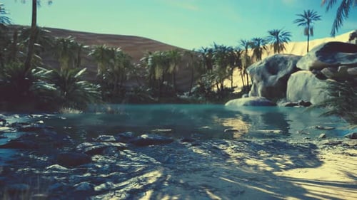 Fantasy Pond Oasis in a Palm Forest