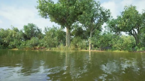 Lush Green Trees Reflecting in Tranquil Water Near a Serene Nature Reserve