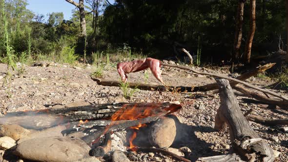 A skinned rabbit roasting on a stick over a campfire, Food Stock ...