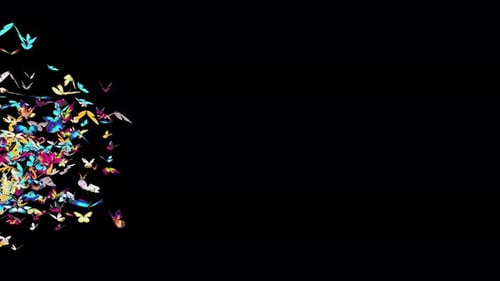 Colorful Butterfly Swarm Flying Animation Overlay
