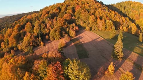 Aerial View of Autumn Forest on Mountain Slope at Sunset