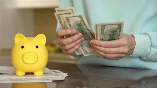 Counting Cash While Saving With a Yellow Piggy Bank on the Table