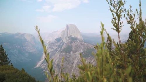 Slow Push Shot Toward Half Dome Through Green Branches, Yosemite National Park.