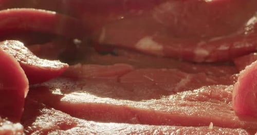 Fresh Raw Beef Meat Texture with Probe Lens Tunnel Slide Ready to Grill Close Up