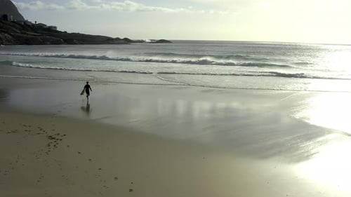 The ocean is home to a surfer