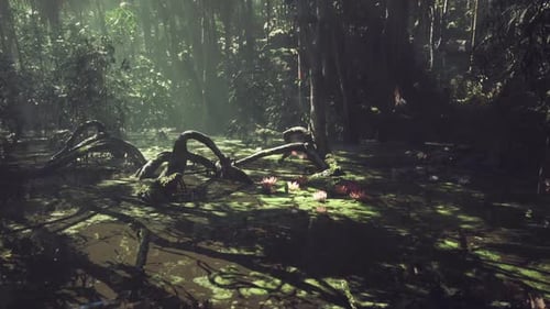 Sunlight Filtering Through Dense Jungle Foliage Over a Tranquil Swamp