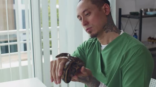 Un vétérinaire manipule un serpent lors d'un examen en clinique
