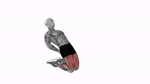 3D Human Anatomy Nordic Hamstring Curl Exercise