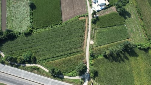 Aerial View of Green Farm Fields and Road