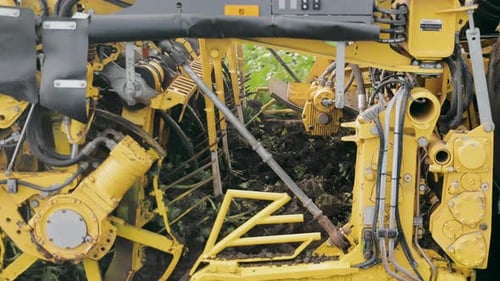 Harvester for Harvesting Sugar Beets A Detailed Shot of a Sugar Beet Harvester in a Field