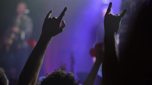 Audience Raising Hands with Rock and Roll Sign at Concert