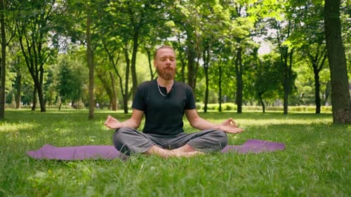 portrait handsome bearded man meditating in the park sitting in the lotus position practicing yoga