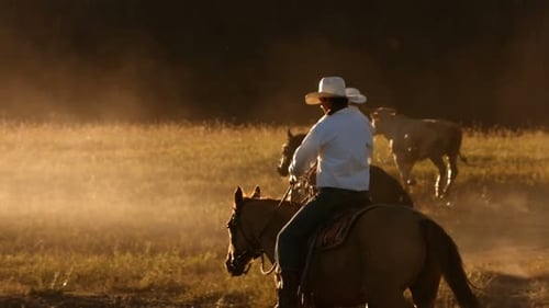 Vaquero a caballo al atardecer, Cámara lenta