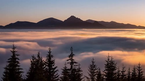 Golden colors of sunset in alpine mountains nature with low clouds in forest